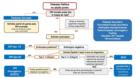 midiabets,Diretriz da Sociedade Brasileira de Diabetes – Ed. 2024